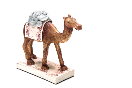 A rubber toy of camel side view isolated whit background, A souvenirの写真素材