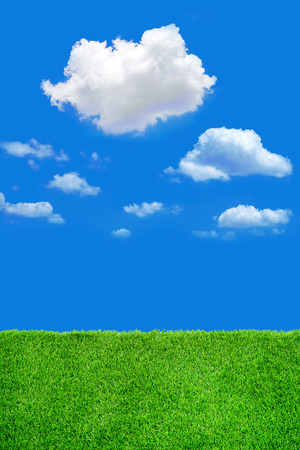 Image of green grass field and bright blue skyの写真素材