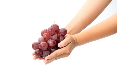 bunch of red grapes in children's hand on white backgroundの写真素材