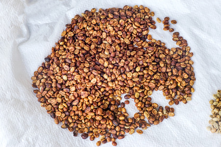 coffee beans drying in the sun