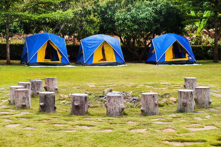 dead wood chairs around camp fire in activities areaの写真素材