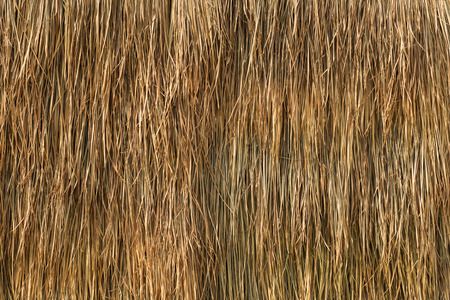 haystack backgroundの写真素材