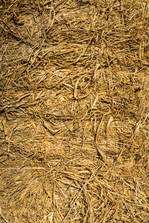 bale of hay background as an agriculture farm dried grass straw as a bundled tied haystackの写真素材