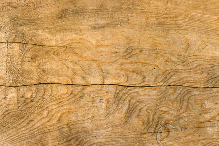 cracked wood backgroundの写真素材
