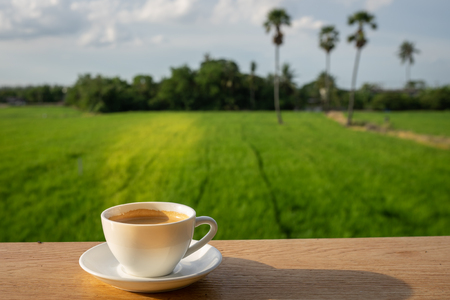 coffee on wood with nature backgroundの写真素材