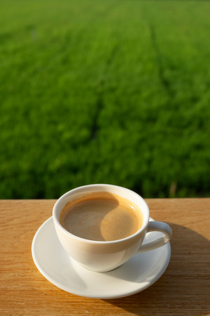 coffee in white cup on wood background over green field  whit text spaceの写真素材