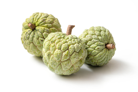custard apple isolated on white backgroundの写真素材