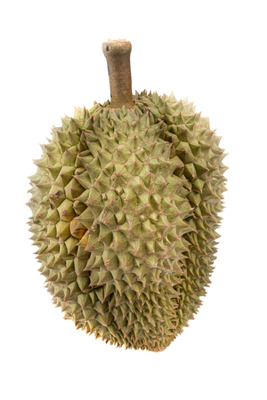durian on white background  - the king of fruitsの写真素材
