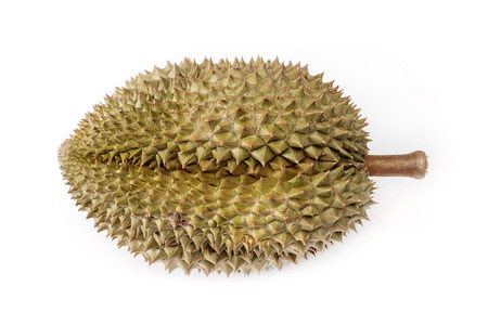 durian on white background  - the king of fruitsの写真素材
