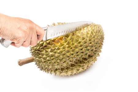 durian on white background  - the king of fruitsの写真素材