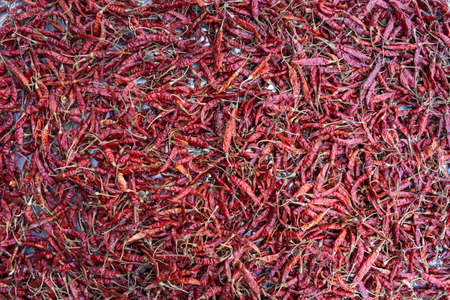 dried red chili or chilli cayenne pepper pattern background in the sun
