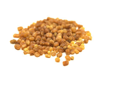 collection of andrographis paniculata seeds or kalmegh over white background with copy spaceの写真素材
