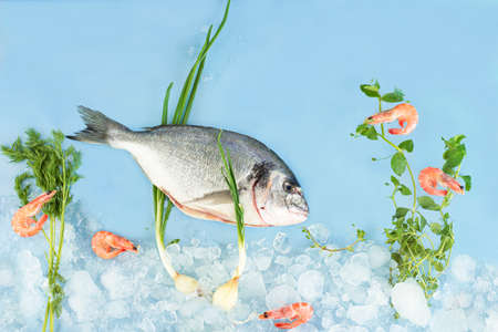 Fresh dorada fish with ice and shrimp on a blue background. Composition of dorada under water