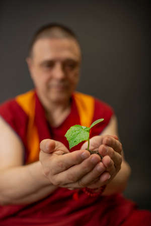 Buddhist monk in red kesa. A monk holding a green plant in his handの写真素材