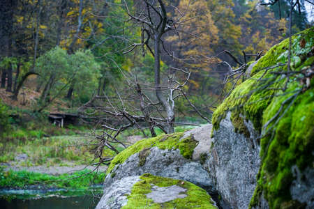 lake; stream; stones; hill; rocky; mountainous; transparent; autumn; nature; stone; stones; canyon;...