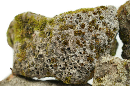 Old porous stone overgrown with moss on a white background. Stone texture