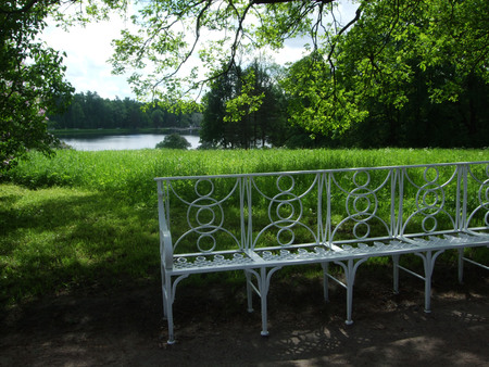 White bench under a tree in the garden.の写真素材