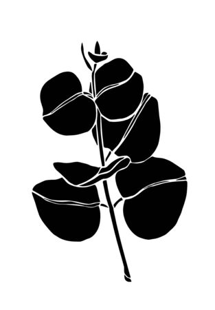 Black line eucaliptus leaves branch. Floristic design elements for floristics. Hand drawn illustration. Greeting card. Floral printのイラスト素材
