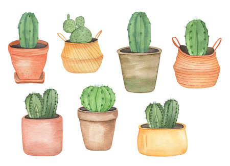 Watercolor house plants cactus in boho pots, hand drawing floral illustrationの写真素材