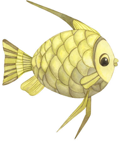 Watercolor tropical ocean fish. Hand painted yellow green fish isolated on white background.の写真素材