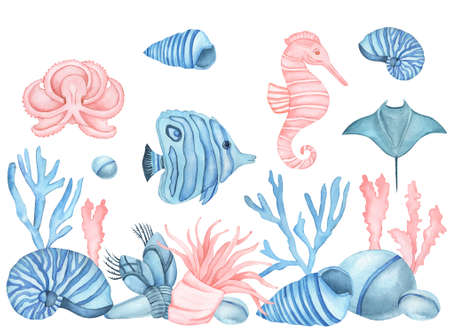 Watercolor Blue Underwater life. Octopus, fish, sea horse, sea shells, algae, corals and stones isolated on a white background.の写真素材