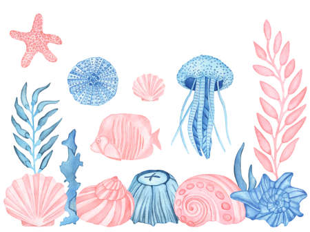 Watercolor Underwater creatures. Sea Urchin, fish, sea shells, Sea star, Jelly fish, algae, corals and stonesの写真素材
