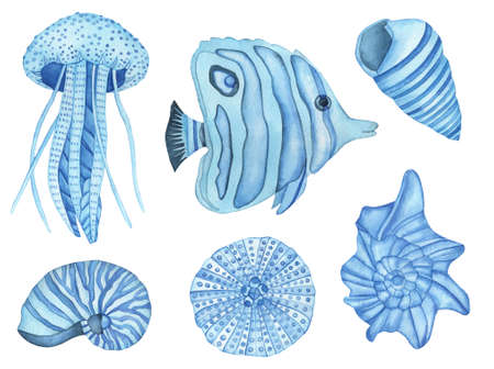 Watercolor Underwater creatures. Blue Fish, Sea Shells and Blue Jelly Fishの写真素材
