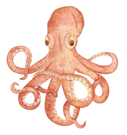 Watercolor Underwater creatures Brown Octopus, Hand drawn illustration isolated on a white background.の写真素材