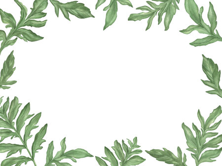 Watercolor Meadow Cornflowers Green leaves Frame isolated on a white background.の写真素材