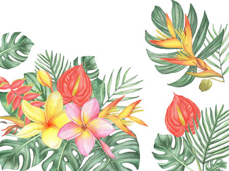 Watercolor tropical flowers bouquet composition with palm leaves and monstera on white backgroundの写真素材