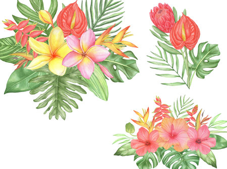 Watercolor tropical flowers bouquet composition with palm leaves and monstera on white backgroundの写真素材