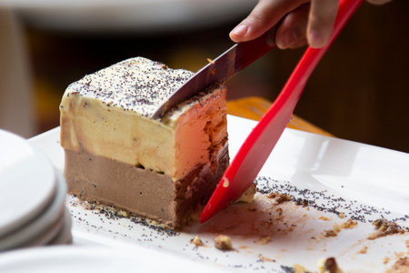 Refreshing cream ice cream with nuts and chocolate, served piece on plate.の写真素材