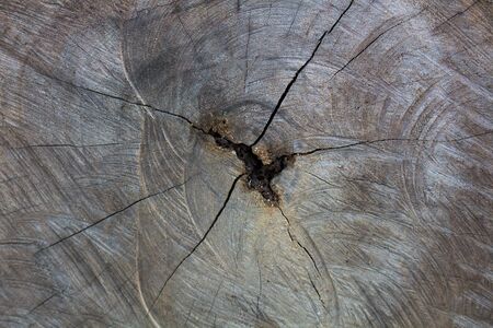 woodの写真素材