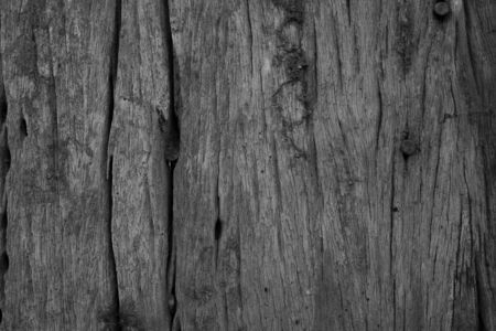 Hammering tack into the wood.の写真素材