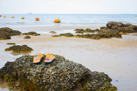 Shoes on stone at the beach, sea backgroundの写真素材