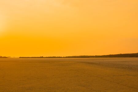 The dunes of the mangrove forest Due to environmental changes Caused by the port expansion in Chonburi, Thailandの写真素材