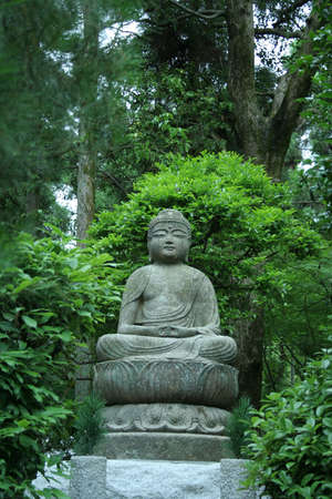 a buddhaの写真素材