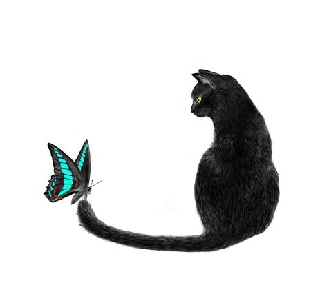 Illustration of Butterfly and Black Catの写真素材