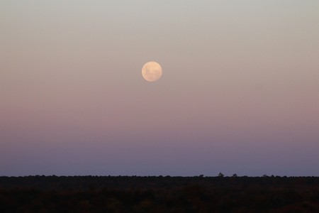 Full moon rising over the horizon in the Kruger National Parkの写真素材