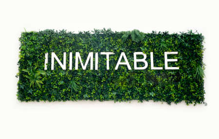 Letters with green flowers (inimitable Spanish written word) with white wall backgroundの写真素材