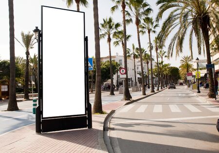Billboard, banner, empty, white in the city center with street with green palmsの写真素材