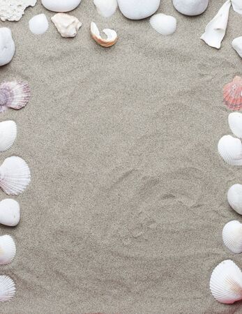 set of conch shells, summer, and white stones on beach sand.top viewの写真素材