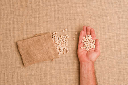 Texture or background of brown sackcloth with linen bags with chickpeas and man's hand with legumes...