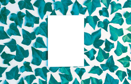 White paper with set of turquoise sheets, white background, with free central space. Top viewの写真素材