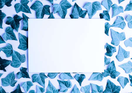 White paper with set of blue sheets, white background, with free central space. Top viewの写真素材