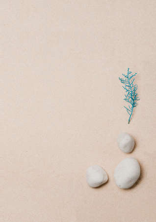 blue plant, sea stones, on beach sand background, top viewの写真素材