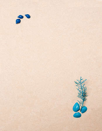 set sea shells, blue and light blue, with blue plant, on beach sand background, top viewの写真素材