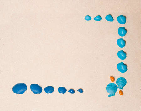 set of classic blue, blue, orange sea shells, on beach sand background, top view