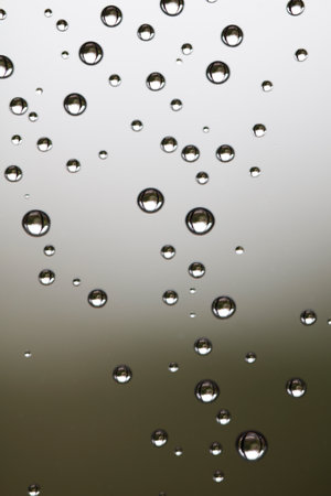 Water drops on the green and brown background,の写真素材