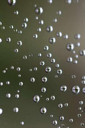 Water drops on the green and brown background,の写真素材